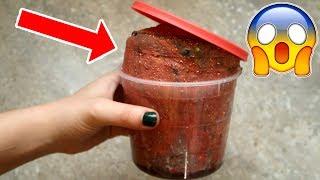 S-A UMFLAT SLIME-UL Arunc Slime Vechi - Throw Old Slime  #3