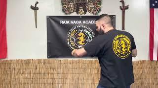 Silat Striking Series- Intermediate Version