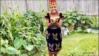 My (African) Backyard Garden in America ️Yaje’s Garden