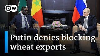 Africans 'victims' of the Ukraine war, AU head tells Putin | DW News