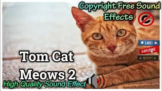 Tom Cat Meows Sound Effect | High Quality  Sound | NCS Effects | Royalty Free #soundeffect #ncs