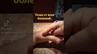 Точка от всех болезней.#психологкаргин