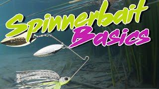 Bass Fishing Basics: How To Fish A Spinnerbait