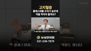 고지혈증_콜레스테롤 수치가 높은데, 약을 먹어야 할까요?
