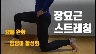 장요근 스트레칭 - 허리 통증 완화, 대둔근 활성화