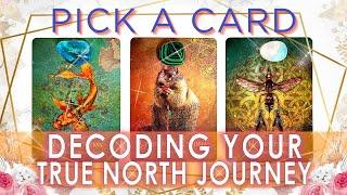 THE PATH TO YOUR TRUE NORTH REVEALED  YOUR DIVINE COMPASS & NAVIGATION CODES  PICK A CARD