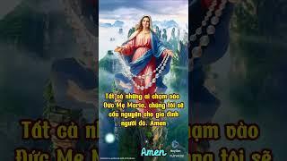 ️xin hãy chạm vào hình đức mẹ Maria và cầu nguyện AMEN #memaria#187