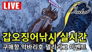 갑오징어낚시 실시간 라이브 델리리그 이벤트 구매항 악바리호