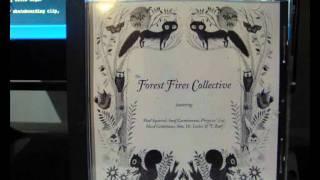 The Forest Fires Collective - In My Zone