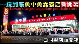 (一鏡到底來逛)魚中魚嘉義店新開幕【超大型寵物店／觀賞魚／犬貓鼠兔毛小孩用品】Taiwan's largest aquarium pet chain store白同學魚中魚店面開箱