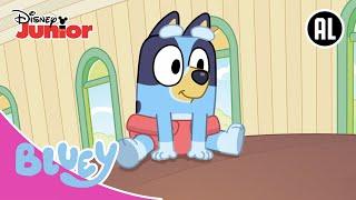 De Race! | Bluey | Disney Junior BE