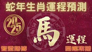 2025年 乙巳年 生肖運勢 蛇年十二生肖運程 —【肖馬】 | 概括運程+四季不同時段出生 屬馬運程 | 開運攻略 | 生肖運程 分析 | 愛情、事業、正財、橫財、健康預測 | 生肖運程 2025增運