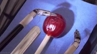 Incredible  Robot Stitches A Grape Back Together!