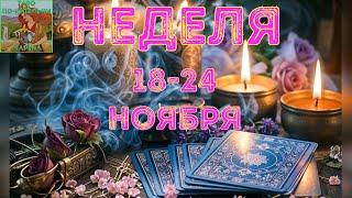 ️ Неделя 18-24 ноября