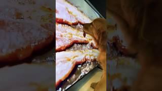 TV's Tempting Treat: Dog's Hilarious Bacon Obsession #funny #dog #tv