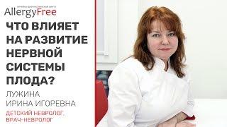 Что влияет на развитие нервной системы плода?