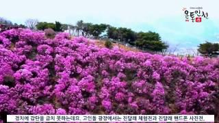 ‘강화 고려산 진달래 축제’ 개막