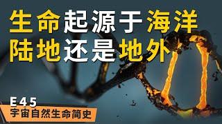 我从哪来 丨 《宇宙自然生命简史》第四十五集：生命到底来源于何方？陆地？海洋？外星？