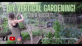 Vertical Trellising | DIY Gardening