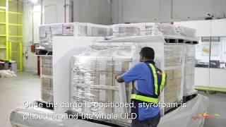 Logistics Services – Airline Pallet Buildup