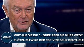 KUBICKI: Stocksauer auf die EU! "... oder aber sie muss weg!" Plötzlich wird FDP-Vize sehr deutlich!