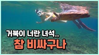 [몰디브 ep.2] 47만원짜리 터틀스노클링.. 가격 실화냐... 근데 비싸지만 재미는 있네요!