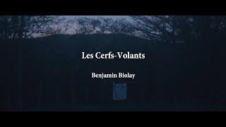 Les Cerfs-Volants - Benjamin Biolay