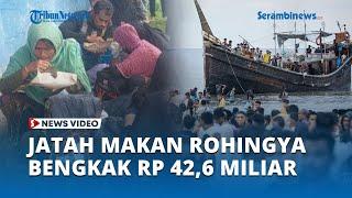 Aceh Kebanjiran Pengungsi Rohingya, Jatah Makan Bengkak Rp 42,6 Miliar