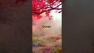 sure Maryam ayat 64 to 68 tilawate quran Urdu translation
