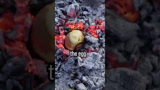 Boil an Egg without Water or Pot  #survival #bushcraft #outdoor