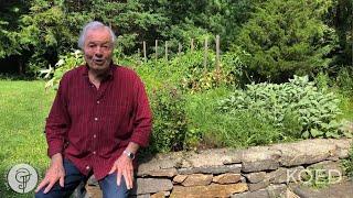 Jacques Pépin's Home Garden | Jacques Pépin Cooking At Home | KQED