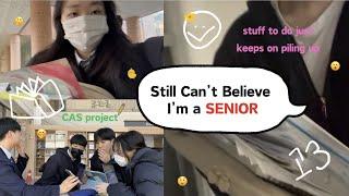 Korean High School VLOGSenior Year