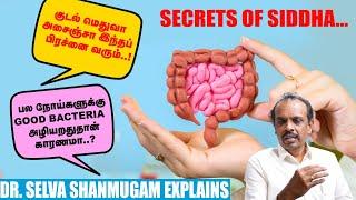 குடல்ல இருக்கிற நுண்ணுயிரிகளை பாதுகாத்தே ஆகணும்.. Siddha Dr. Selva Shanmugam | Secrets of Siddha - 1