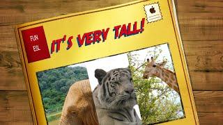 Look! It's a giraffe. It's very tall. | English for Kids