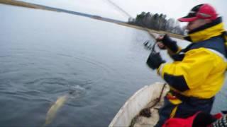 Ловим щуку на фотоаппарат RUSSIAN HI-TECH FISHING