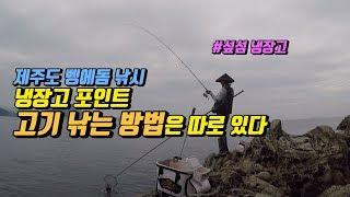 제주도 벵에돔 낚시 - 섶섬 냉장고 벵에돔 낚는 비법을 알아보자