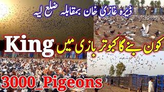 3000 Pigeons Competition | Who will Become king? | Kabootar Bazi Layyah v/s Dera Ghazi Khan | Pigeon