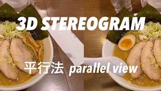 STEREOGRAM (Parallel View 3D) | 平行法ステレオグラム | P09 STEREOSCOPIC