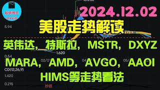 12月3日，美股即时走势解读，特斯拉、英伟达、MSTR、DXYZ、MARA、AMD、AVGO、AAOI、HIMS、等走势看法️️ #美股推荐2024 #英伟达股票 #特斯拉股票 #美股 #美股大涨