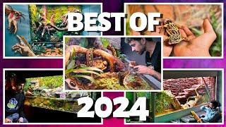  MY BEST VIVARIUMS OF 2024 | TERRAQUAMAN