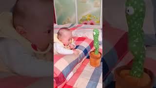 Babies Are COMPLETELY Entertained By This SingingCactus Toy #VoiceRecording #DancingToy#MagicMoments