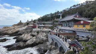 (4K)한국에서 가장 아름다운 사찰, 해동용궁사(Korea's Most Beautiful Temple, Haedongyonggung Temple)