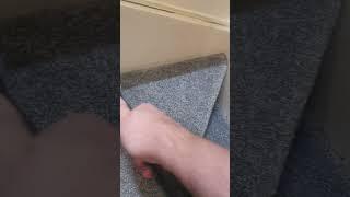 Stairs carpet cleaning/ dog mess...