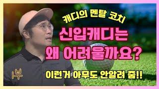 신입캐디가 어려워하는 이유가 뭘까요?! 1부 #golf #골프캐디 #골프 #골린이 #신입캐디