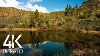 10 Hour - Lake Lapping Water & Birds Singing Sounds for Relaxation, Destress, Sleep