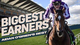 Aidan O'Brien's Biggest Earners! | Featuring Highland Reel & Auguste Rodin