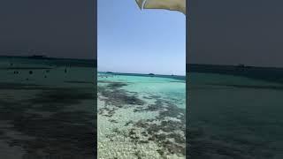 مش هتصدق إن المكان ده عندنا في مصر   #shorts