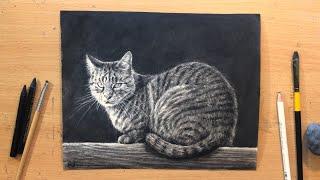 How to Draw a Cat in Charcoal