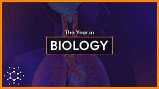 2024's Biggest Breakthroughs in Biology and Neuroscience