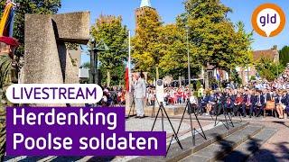 Herdenking Poolse militairen in Driel 2024 | Omroep Gelderland